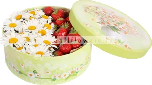 allflowers.lv