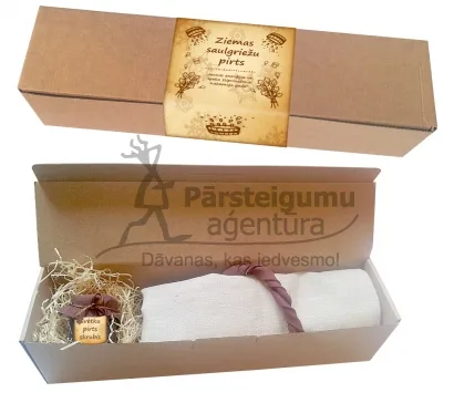 parsteigumaagentura.lv